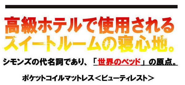 �x�b�h�@�V�����Y�@SIMONS